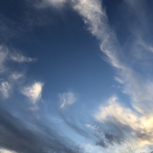 丝袜虐阳射精片
