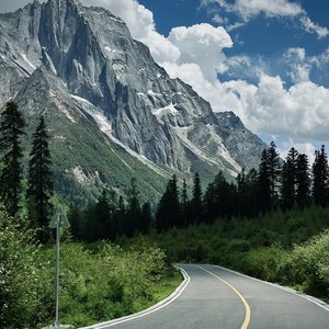 丝袜虐阳射精片
